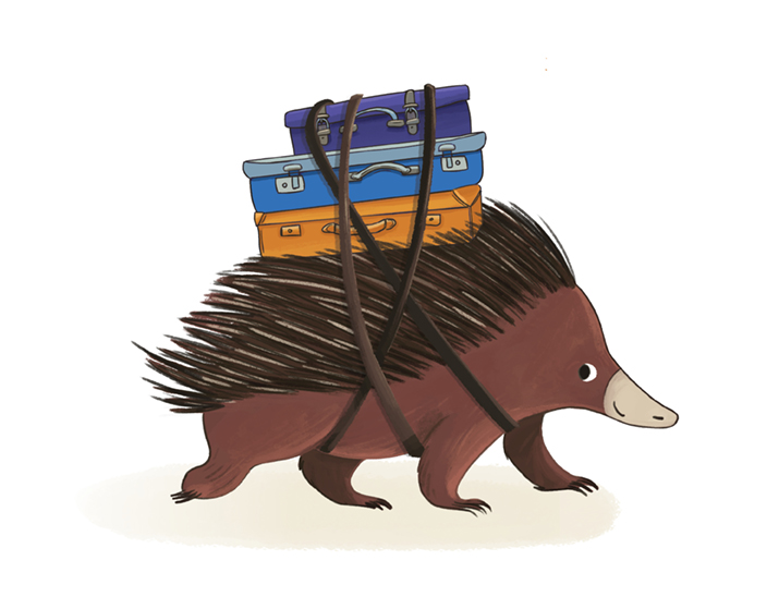 Echidna - Take it slow