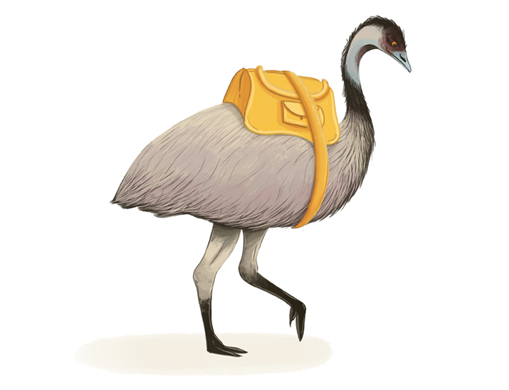 Emu - Watch your step