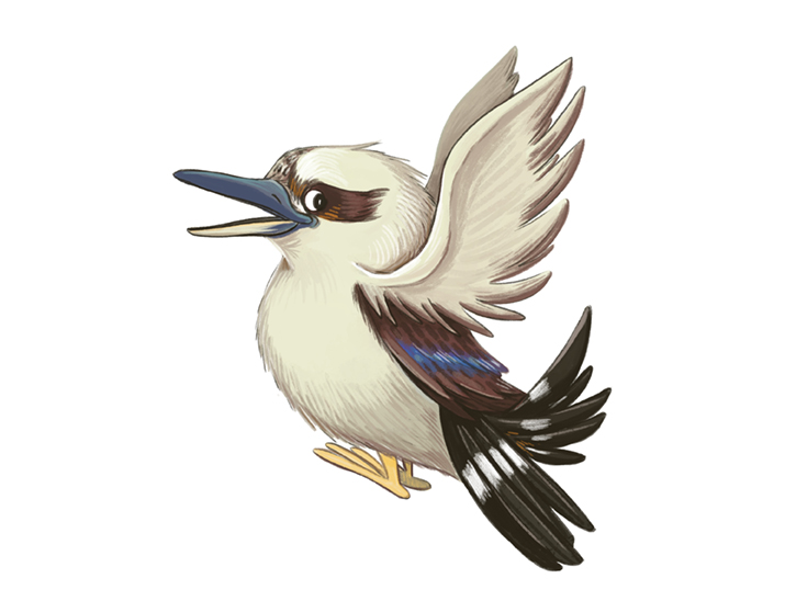 Kookaburra - Speak up for help
