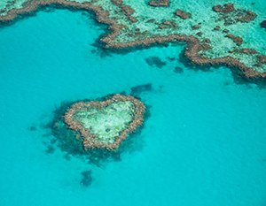 queensland rail travel spirit of the outback